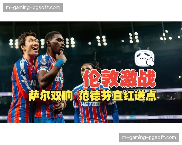 I.萨尔7球水晶宫进攻核心，持球突破与创造犯规能力